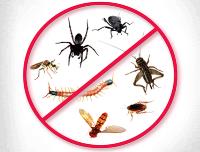 Marks Pest Control Melbourne image 3