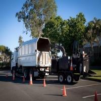 Aussie Tree Removal Ballarat image 3