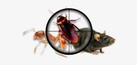 Professional Pest Control Hobart image 4