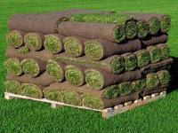 Hi Quality Turf Supplies Sydney image 10