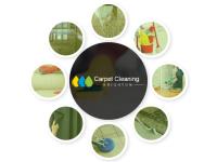 Carpet Cleaning Brighton image 1