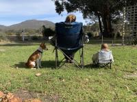 Porongurup Range Tourist Park image 1