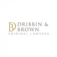 Dribbin & Brown Criminal Lawyers image 1