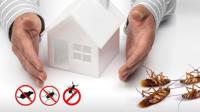 Pest Control Gold Coast image 1