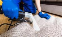 Best Carpet Cleaning Brisbane image 5