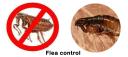 Flea Control Moreton Bay logo