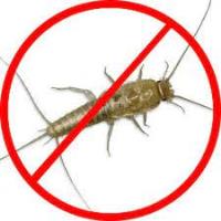 Silverfish Control Logan image 1