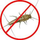 Silverfish Control Logan logo