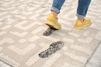 Carpet Cleaning Brisbane image 3