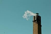 Chimney Sweep Sydney image 1