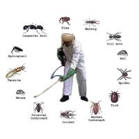 Pest Control Adelaide image 13