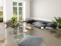 Professional Flood Damage Restoration Canberra image 6