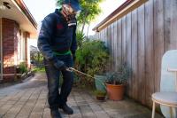 Eco Pest Control Brisbane image 1