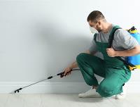 Organic Pest Control Melbourne image 1