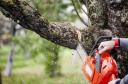 Tree Removal Toowoomba logo