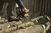 Tree Removal Experts Ballarat image 2