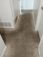 Carpet Cleaning Moorooka image 2