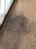 Carpet Cleaning Hawthorne image 2