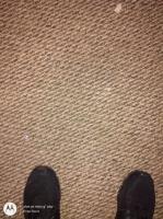 Carpet Cleaning Hawthorne image 4