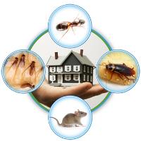 Pest Control Harrisdale image 5