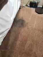 Carpet Cleaning Oconnor image 6