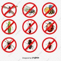 Best Pest Control Sydney image 3