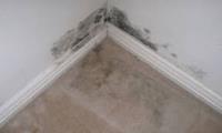 Best Carpet Cleaning Sydney image 2