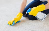 Local Carpet Cleaning Sydney image 5