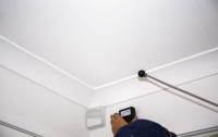 Pro Pest Control Gold Coast image 22