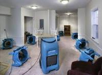 Flood Damage Restoration Mornington Peninsula  image 6