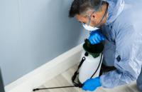 Eco Pest Control Brisbane QLD image 10