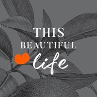 This Beautiful Life image 2