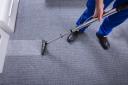 Carpet Cleaning Ballarat logo