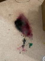 Carpet Cleaning Sydney image 1