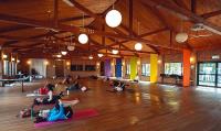 Ananda Wellness Retreat image 3