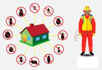 Pest Control Warragul image 3