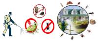 Local Pest Control Adelaide image 2