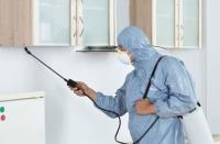 247 Pest Control Brisbane image 2