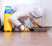 247 Pest Control Brisbane image 4