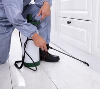 247 Pest Control Brisbane image 6