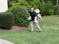 Smart Pest Control image 21