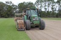 Wide Bay Turf image 1