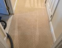 Carpet Cleaning Bondi image 4