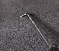 Carpet Cleaning Bondi image 3