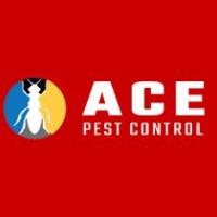 Ace Possum Removal Melbourne image 1