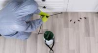 Pest Control Coomera image 3