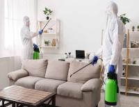 Pest Control Coomera image 5