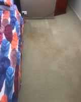 Squeaky Carpet Cleaning Brisbane image 1