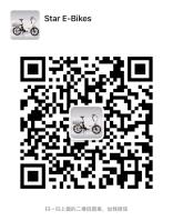 Star E-Bikes image 10