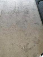 Carpet Cleaning Springvale image 2